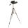 TRIPOD 19 Stativ für Fernglas Spektiv Baader QUNSE Nikon Aculon Northpoint MINOX Steiner Eschenbach Innislink Celestron Skymaster Olympus Bresser Wings Newton Vivid Huntington Besteker