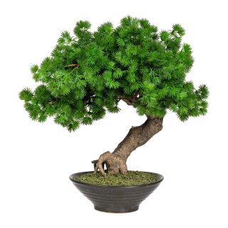 Kunstpflanze Deko Bonsai Lärche 37cm mit Topf Keramik künstlich Kunststoff