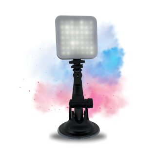 Saugnapf Halterung Videoleuchte Softlight Videolicht 49 LED Foto Lampe für Kaltschuh Blitzschuh