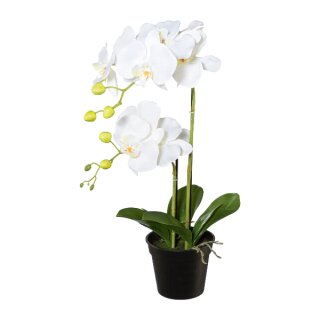 Kunstpflanze Phalaenopsis im Topf, 55cm weiß Orchidee Deko Idee