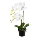 Kunstpflanze Phalaenopsis im Topf, 55cm weiß...