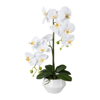 Kunstpflanze Phalaenopsis in Keramiktopf, 52cm, weiß, Real Touch