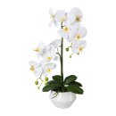 Kunstpflanze Phalaenopsis in Keramiktopf, 52cm,...