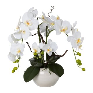 Kunstpflanze Orchidee Phalaenopsisarrangement 55cm weiß Deko Idee im Topf Keramik weiß