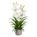 Kunstpflanze hoch 70cm Orchiodee Cymbidie im Topf grau...