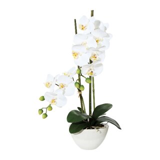 Kunstplanze Phalaenopsis 50cm weiß im Topf Keramik 14,5x8,5cm weiß Deko Idee