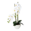 Kunstplanze Phalaenopsis 50cm weiß im Topf Keramik...