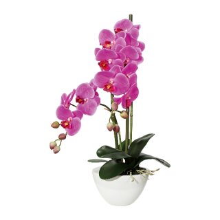 Kunstplanze Phalaenopsis 50cm weiß im Topf Keramik 14,5x8,5cm lila Deko Idee