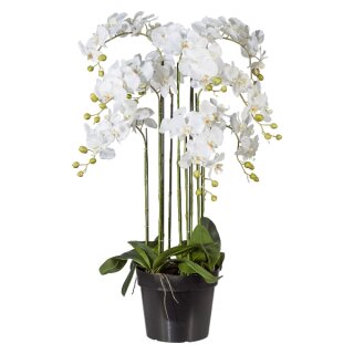 Große Kunstpflanze groß hoch Phalaenopsis 110cm weiß Orchidee Deko Idee