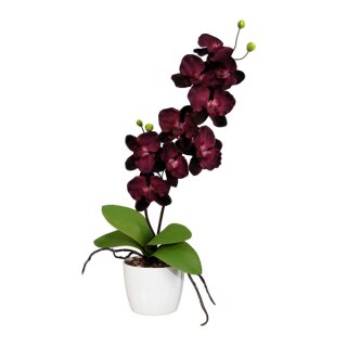 Kunstpflanze Orchidee Phalaenopsis Deko 60cm im Topf Keramik 13cm lila weiß Dekoidee