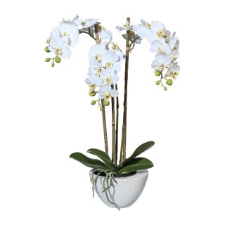 Kunstpflanze Deko Idee Orchidee Miniphalaenopsis 51cm im Topf Schale Keramik weiß 14x8,5cm Real Touch