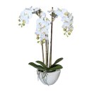 Kunstpflanze Deko Idee Orchidee Miniphalaenopsis 51cm im...