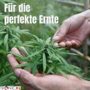 Premium Grow Ernteschere Gartenschere Schere gebogen für Eigenanbau Growbox Zelt gebogene Klinge Trimmen Trimmer Planzen Erntehelfer