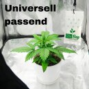 10x CO2 Bag Blüte Booster Grow Bags für Growbox Blütephase kohlendioxid-tüte für Pflanzen Zelt Zubehör Eigenanbau Grower