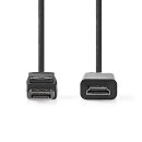 4K UHD Kabel I DisplayPort-Stecker  -  HDMI Stecker Adapter | 3m | HD TV PC 3D